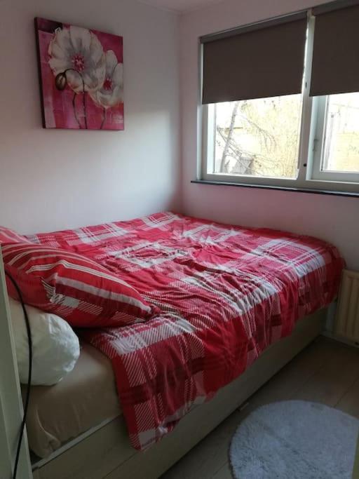 Cottage Egmond-Binnen Met Besloten Tuin Ngoại thất bức ảnh