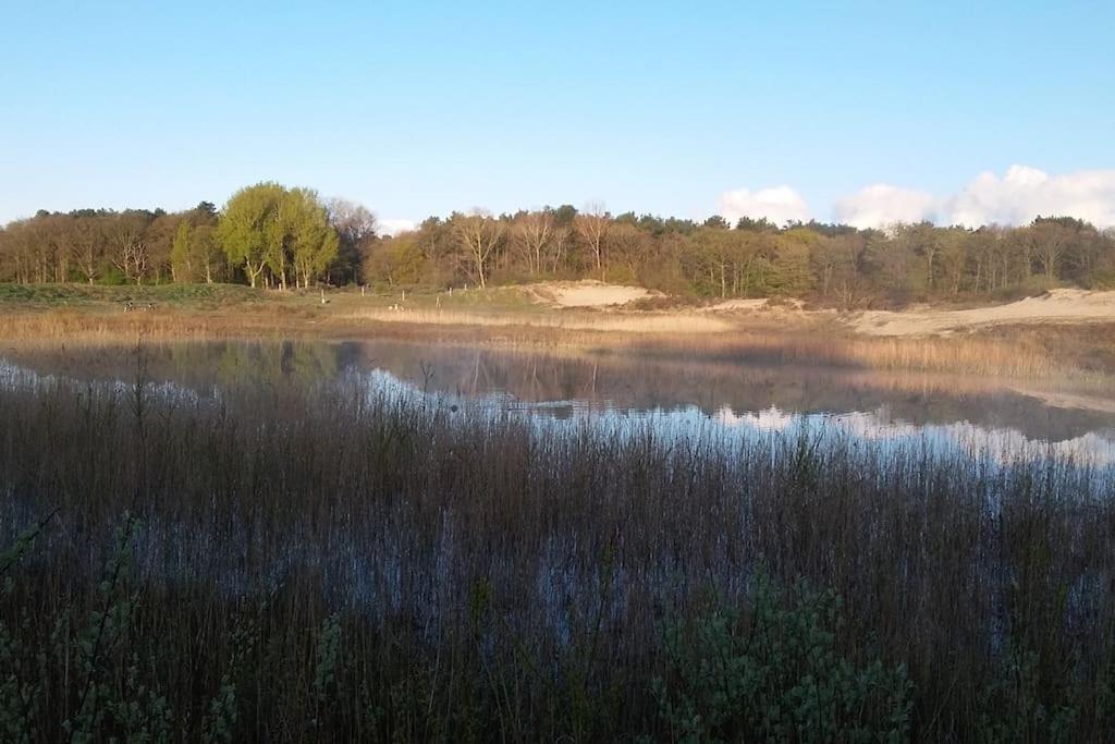 Cottage Egmond-Binnen Met Besloten Tuin Ngoại thất bức ảnh