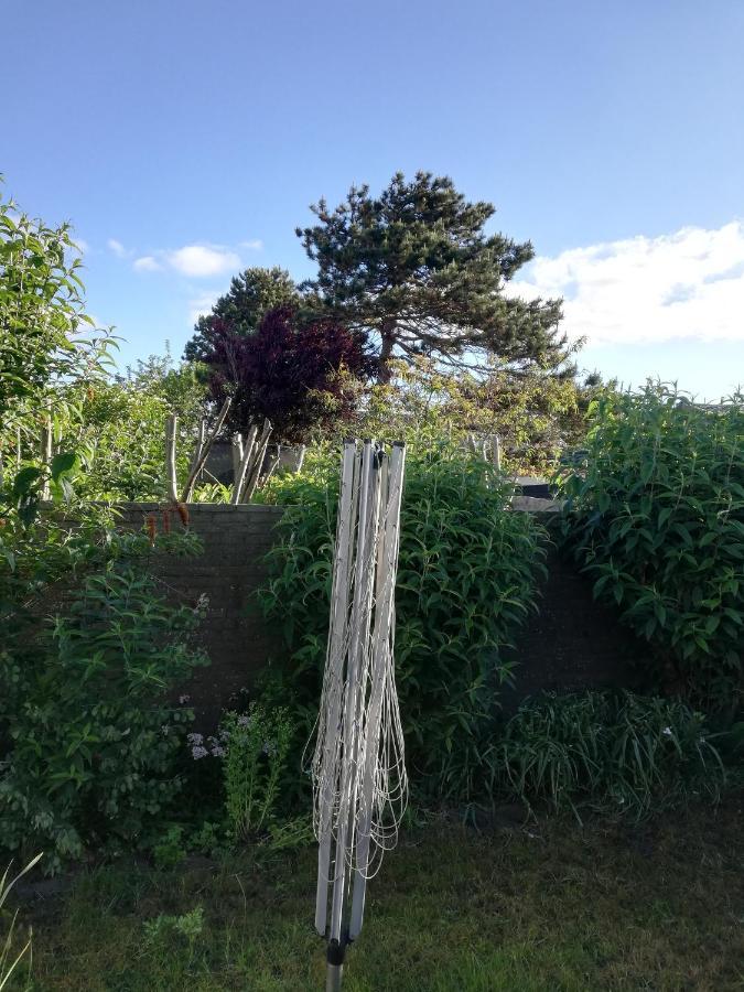 Cottage Egmond-Binnen Met Besloten Tuin Ngoại thất bức ảnh